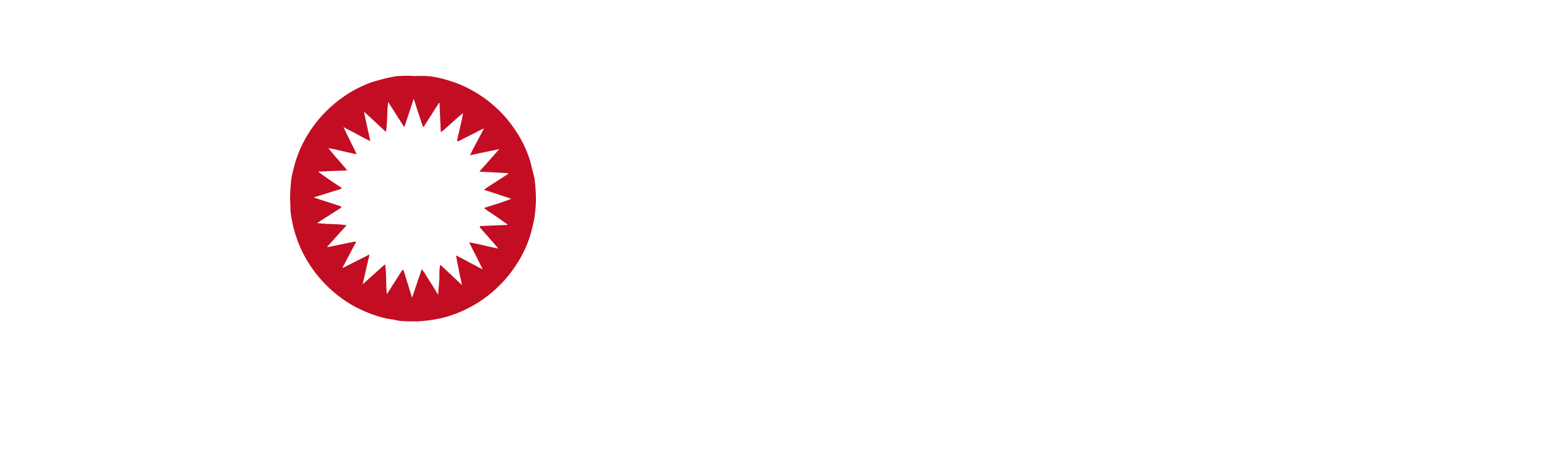 金太阳